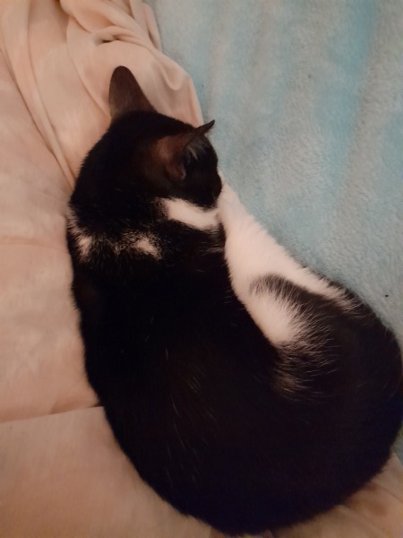 The happy Place Café is still open