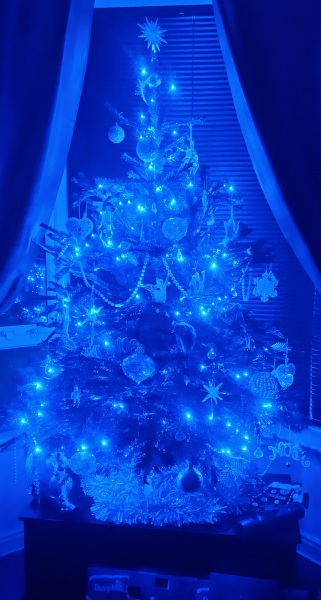 The ultimate SHOW US YOUR TREE megathread!