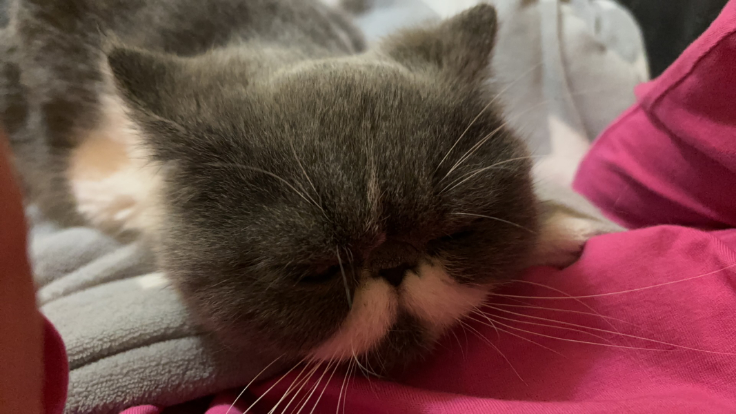 Potential new inmate at Toddler Towers.