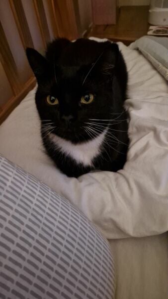 Let's see your best "Loaf of Doom" pics!