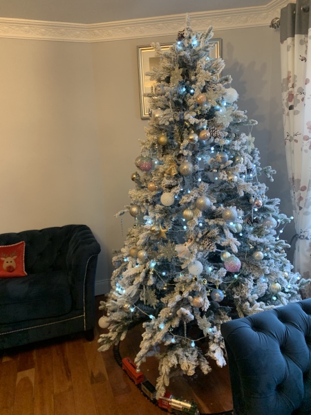 The ultimate SHOW US YOUR TREE megathread!