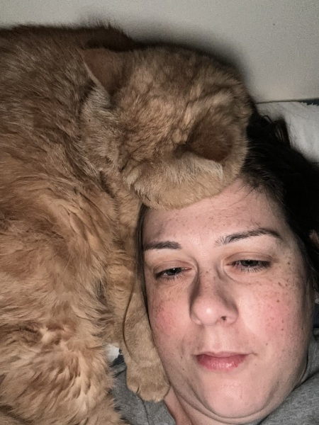Cheddar is alseep on my head