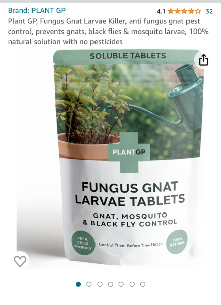 Fungus gnats