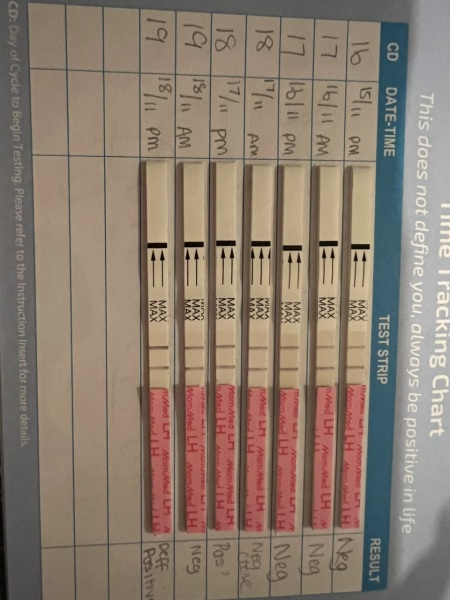 Ovulation Strips