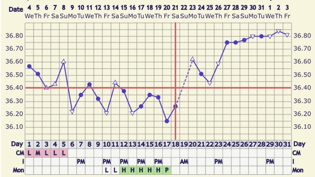 BBTing our way to a BFP in September 🎉 cont.