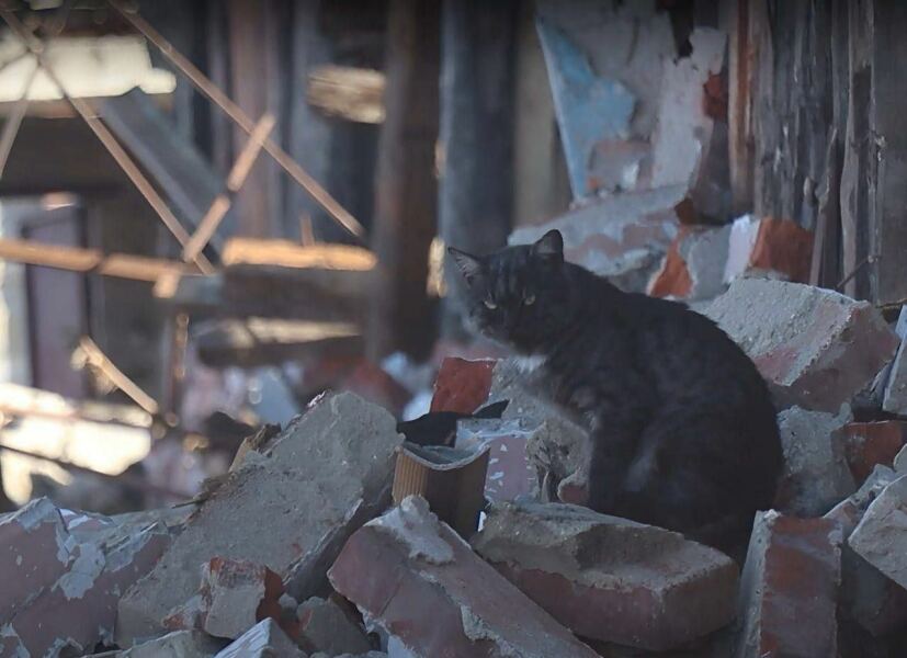 Ukraine Invasion: Part 45