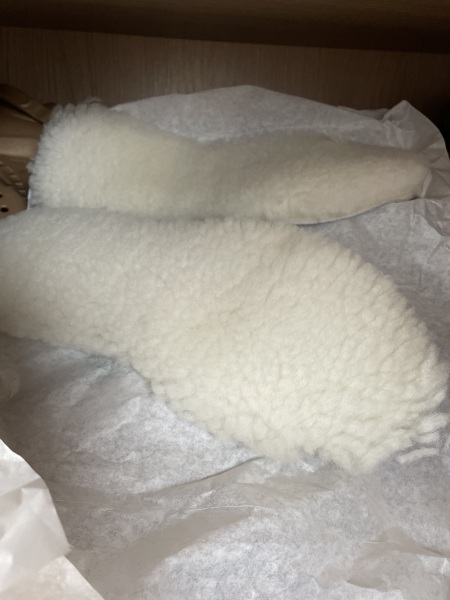 Toasties hoping for a sale while sailing into Christmas