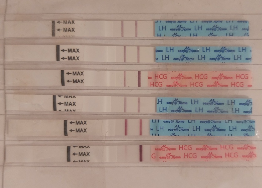 TTC after early miscarriage