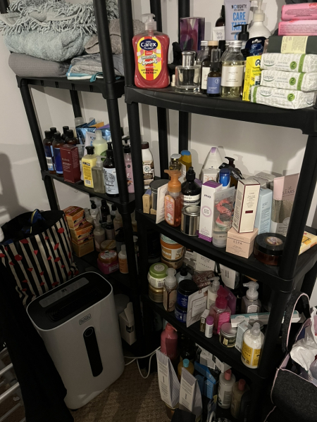 Join me in a beauty product buying ban or come and give me moral support!