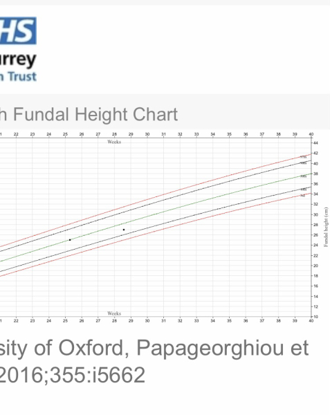 'Pregnancy after Miscarriage - Latest support thread'