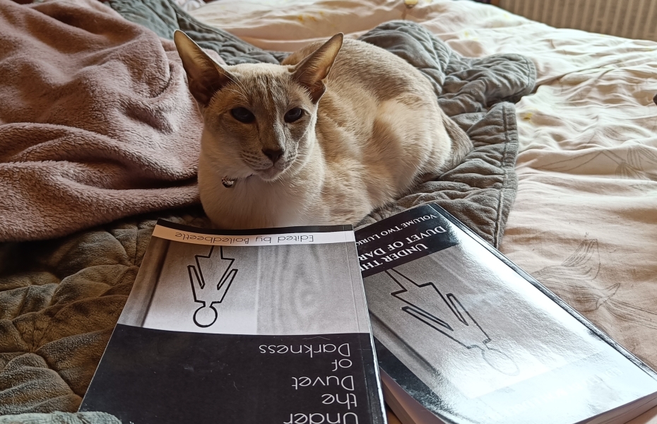 Lurking Merkins - Volume Two of Under the Duvet of Darkness