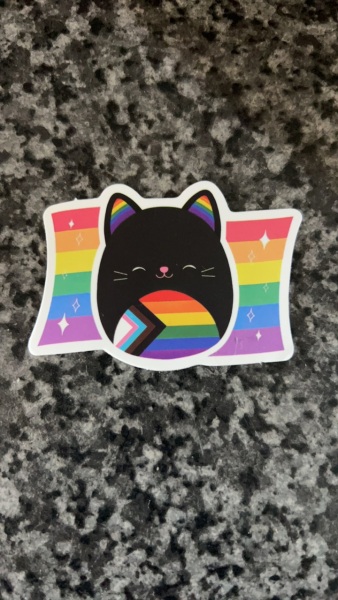 Trans/pride flag in children's stickers