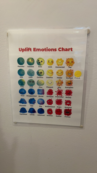 To ask how to teach empathy to dd