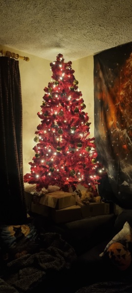 The ultimate SHOW US YOUR TREE megathread!