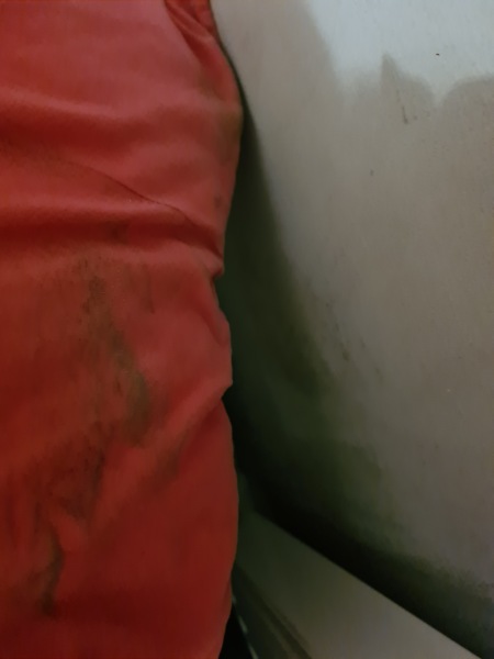 Mould should housing pay for beds