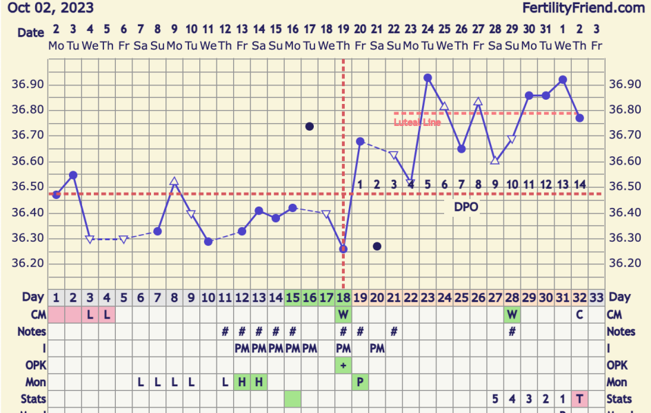 BBTing our way to a BFP in September 🎉 cont.
