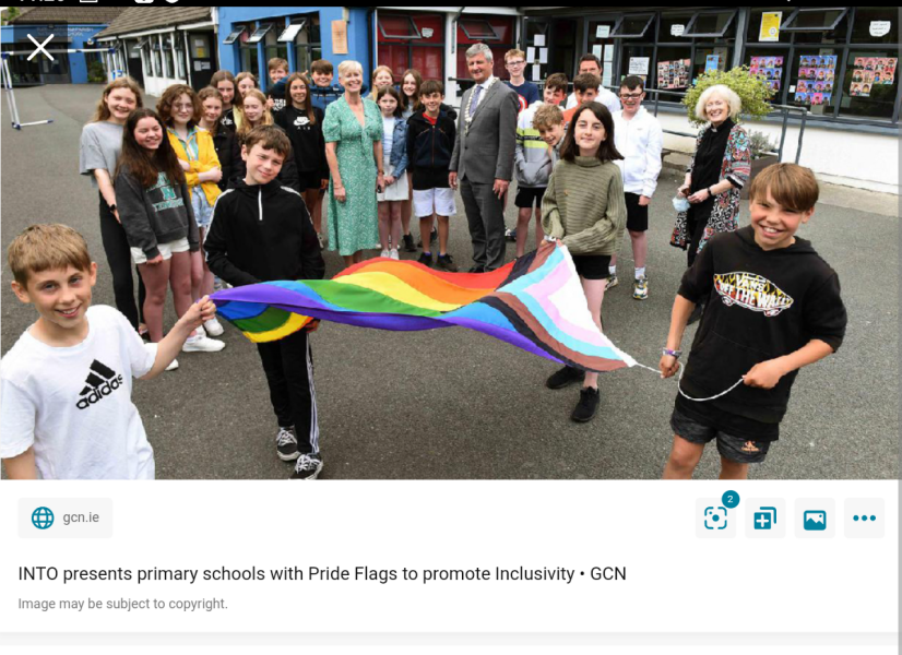 Trans/pride flag in children's stickers