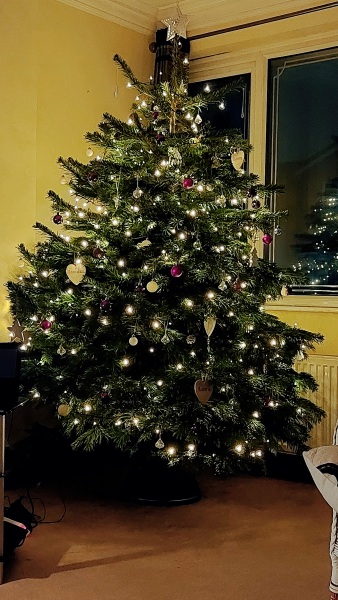 The ultimate SHOW US YOUR TREE megathread!