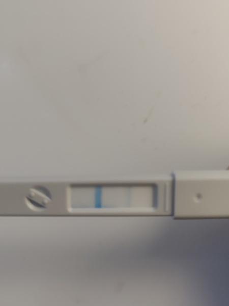 Am I fertile right now? Ovulation test