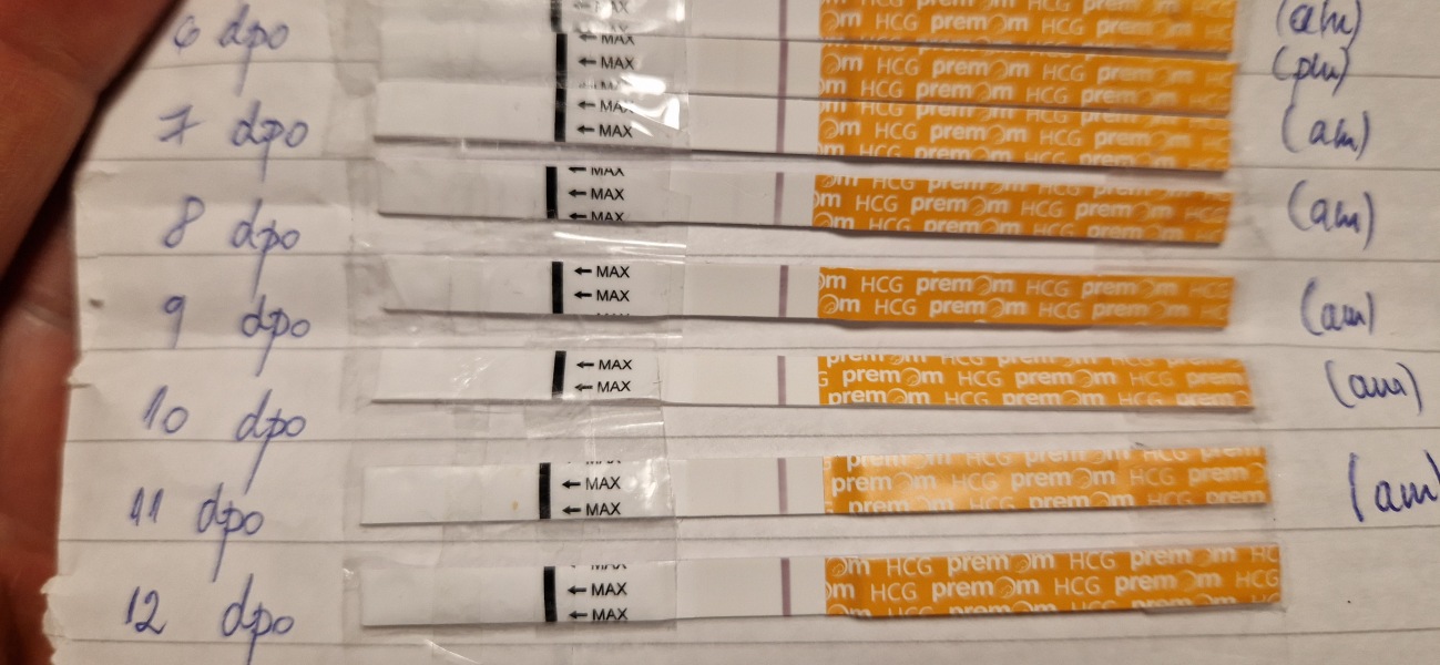 12dpo - definitely negative, right?