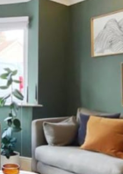 Anyone know what paint colour this could be or closest to?