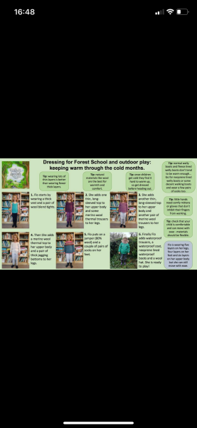 Forest Nursery