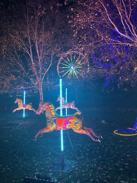 Edinburgh - visiting in December - help please!