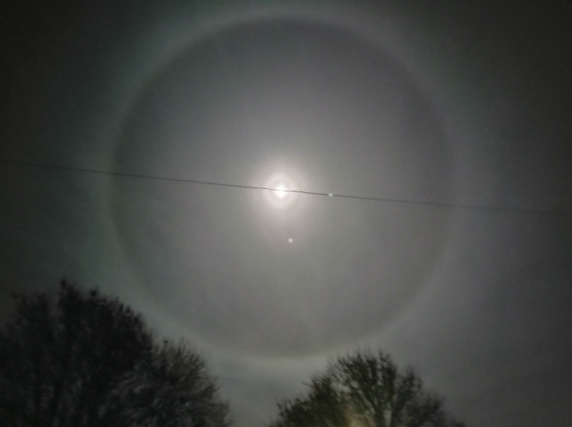 The Moon just now (pic)