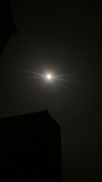 The Moon just now (pic)