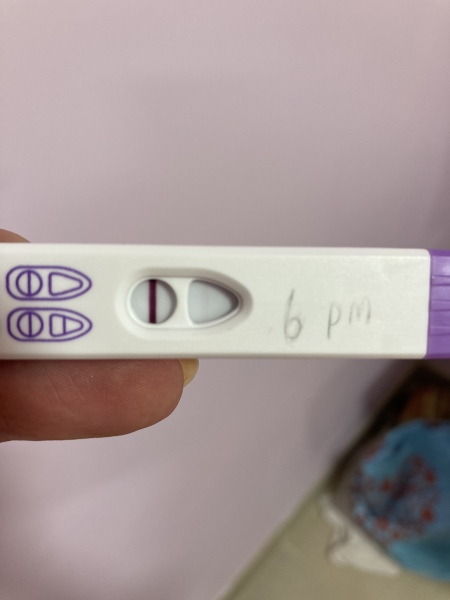 FET/IVF/ICSI - October 2033