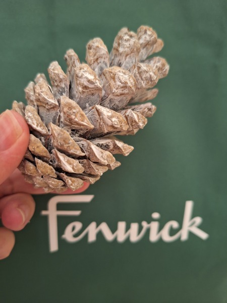 In preparation for Christmas today I will……