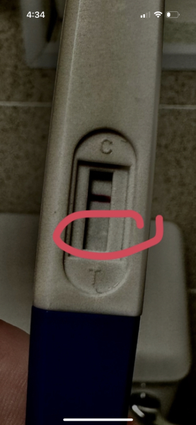 Pregnancy test help!