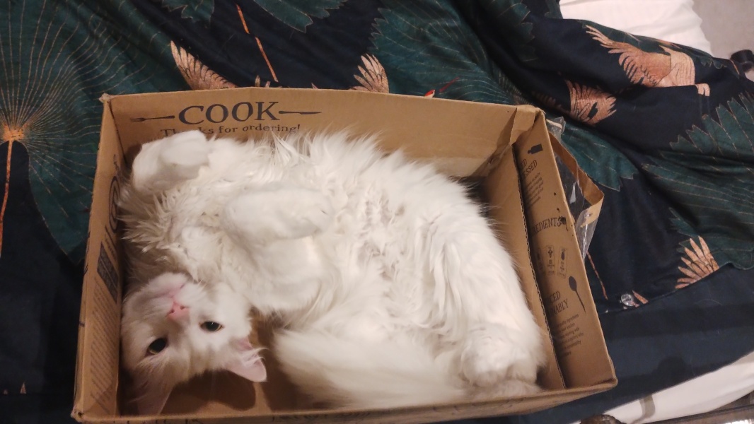 Stage IV cancer? Incurable? Roll up, roll up, this thread is for you!