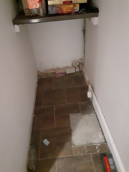 Mice, a hand hold please