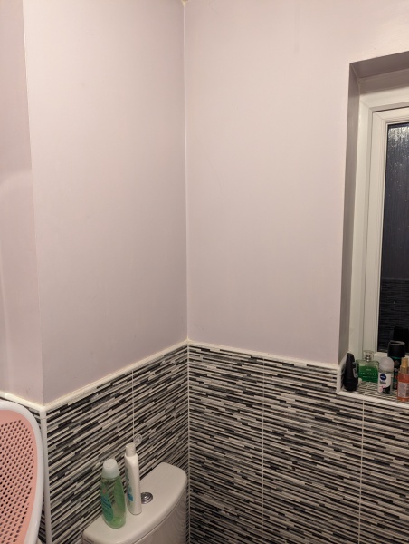 What colour for bathroom? Pics included