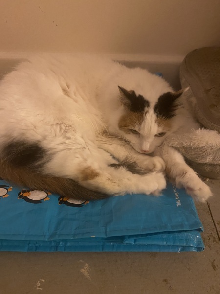 Of all the nice places to sleep