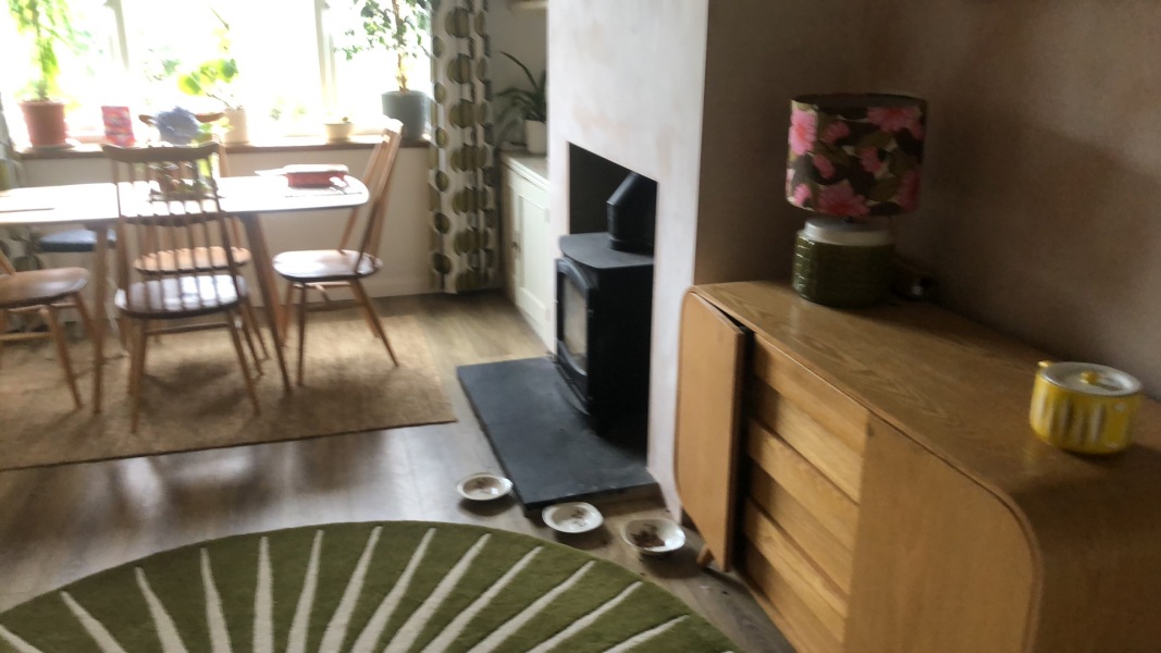What colour to paint this kitchen?! Any mid century / retro lovers?