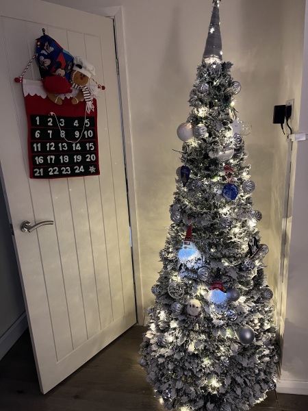 The ultimate SHOW US YOUR TREE megathread!