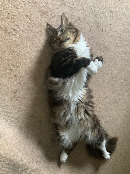 Come and tell me your dull and unexciting news 27: Calmly through the day