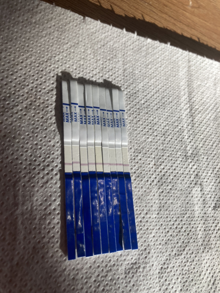 POAS come on you rainbows