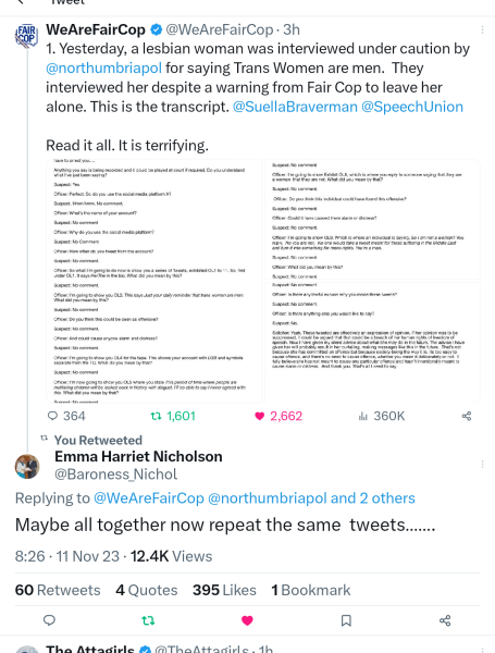 Lesbian interviewed under caution for tweets