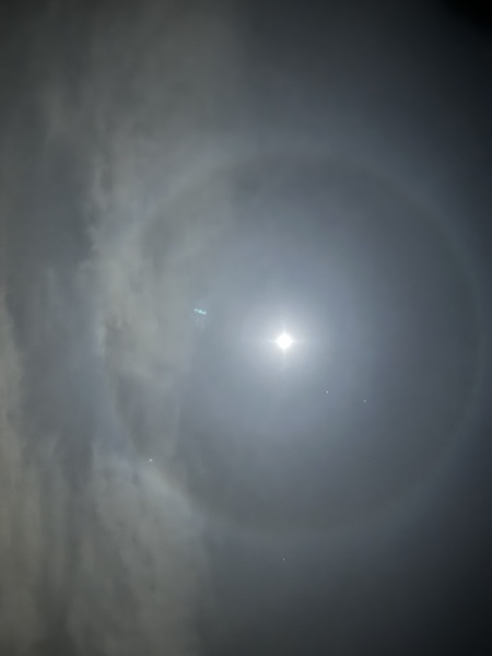 Come and tell me your dull and unexciting news 27: Calmly through the day