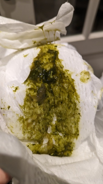 Diarrhoea for 14 days! (*TRIGGER: IMAGE ATTACHED)
