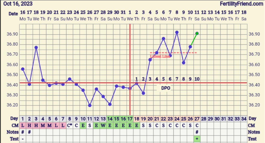 BBTing our way to a BFP in September 🎉 cont.