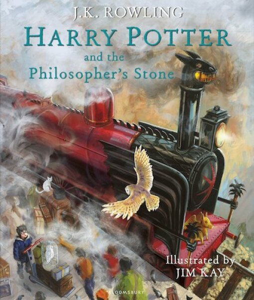 Harry Potter for adult