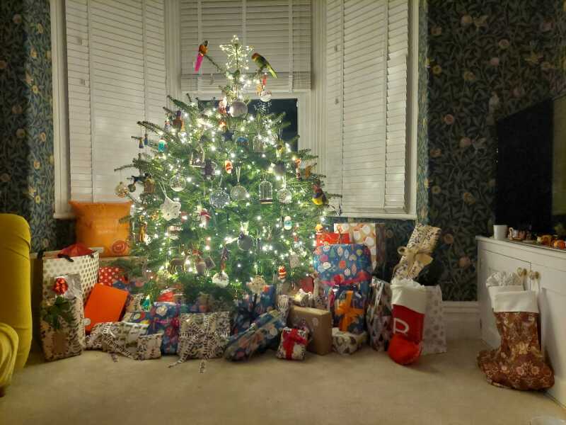 The ultimate SHOW US YOUR TREE megathread!