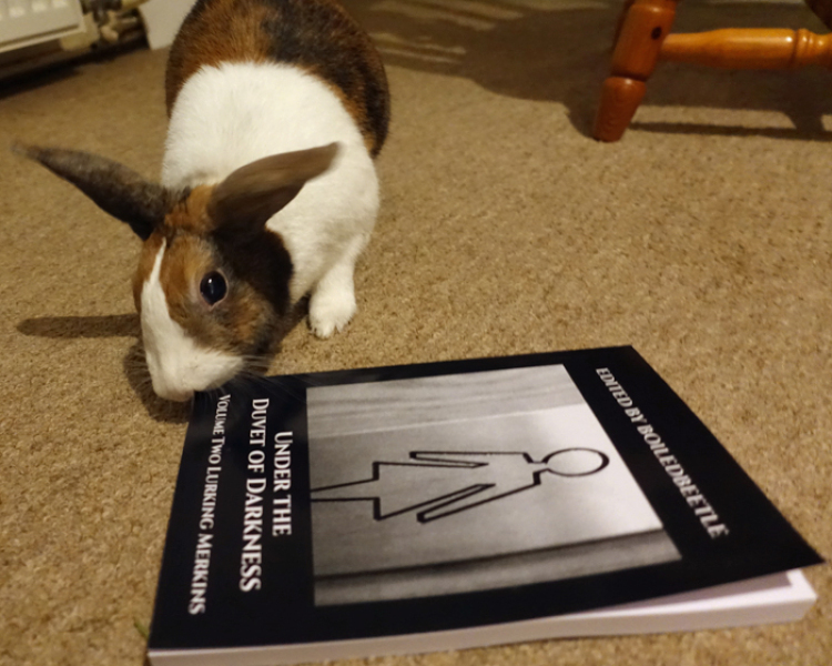 Lurking Merkins - Volume Two of Under the Duvet of Darkness