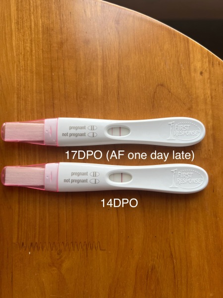 4DPO yet again, are you with me?