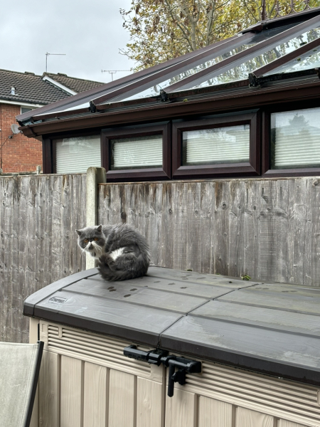 Potential new inmate at Toddler Towers.