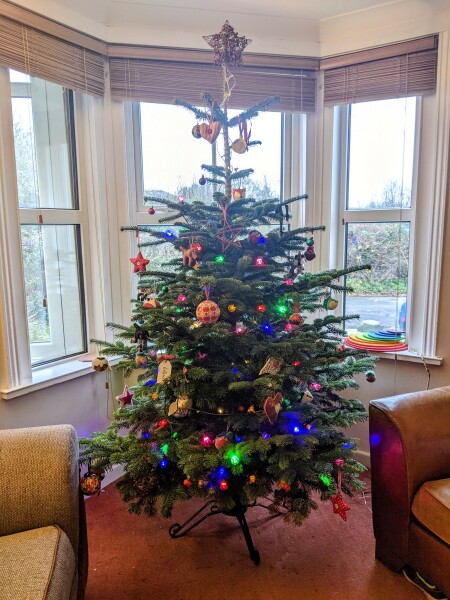 The ultimate SHOW US YOUR TREE megathread!